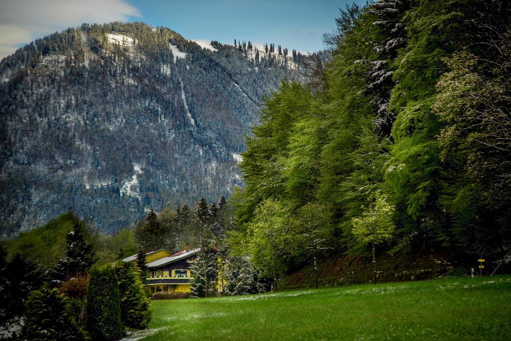 Hotel Garni Zeranka Ruhpolding Bagian luar foto